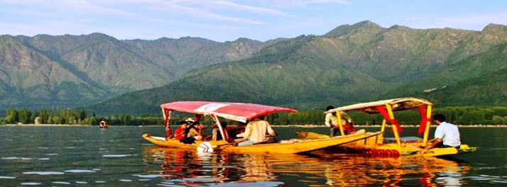 865/Royal Pearl Hotel - Srinagar 08.jpg